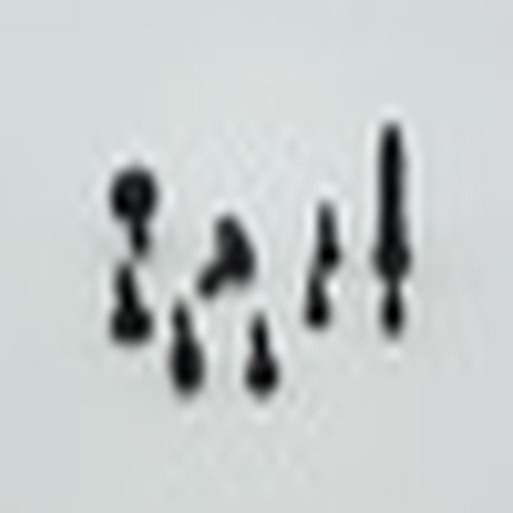 OEM Automotive customizing speical stainless steel rivet