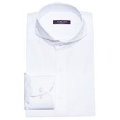 solid white shirts