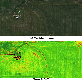 detail image1 UAV image processing service