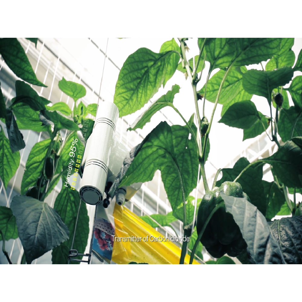 CO2, Temperature, Humidity Transmitter for Mushroom contorl and Greenhouse