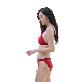 full image Basic Glossy Bikinika(Burgundy)